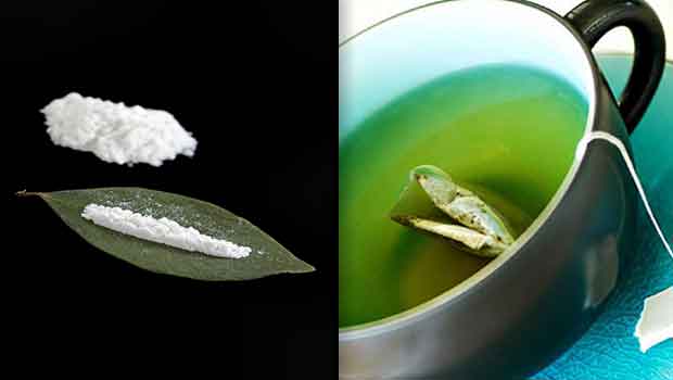 Bus Driver Tests Positive for Cocaine After Drinking Herbal Tea