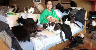 Cat Lady Shares Home With Over 1000 Felines