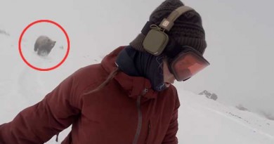 Amazing Moment Oblivious Snowboarder Is Chased by a BEAR