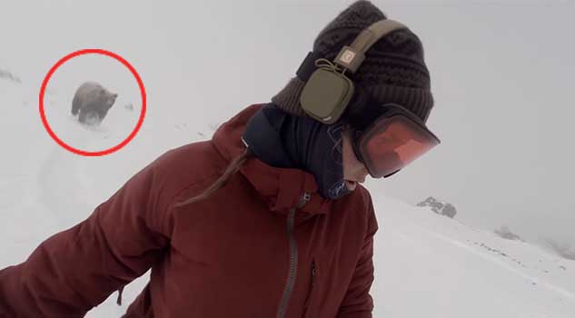 Amazing Moment Oblivious Snowboarder Is Chased by a BEAR!