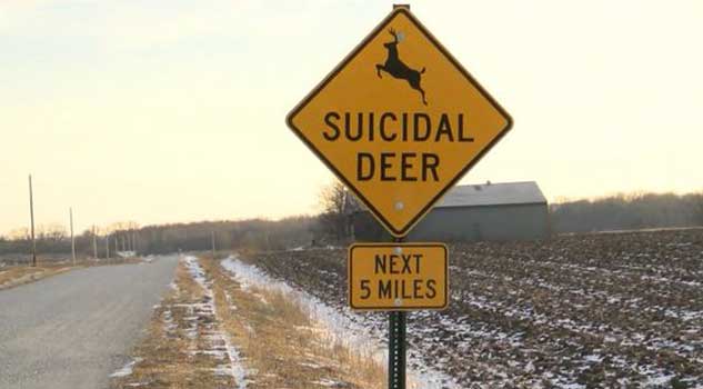 'Suicidal Deer' Sign to Remain Standing