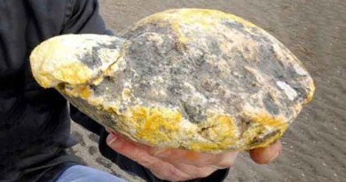 Couple Finds $70,000 Worth of Whale Vomit
