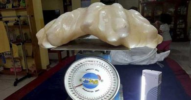 Fisherman Hordes Giant 75 Pound Pearl worth $100 Million