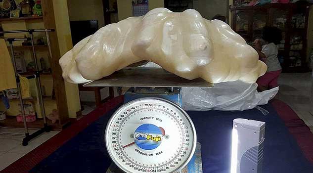 Fisherman Hordes Giant 75 Pound Pearl worth $100 Million