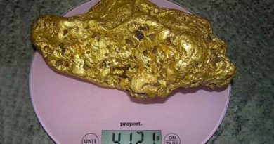 Prospector Strikes Gold with 9-Pound Nugget