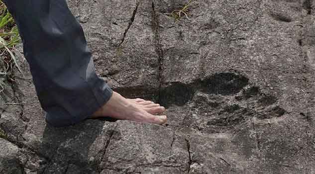 Did Giants Once Exist? Fossilized Footprint Discovered in China