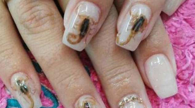‘Scorpion Manicure’ Craze Hits Mexico