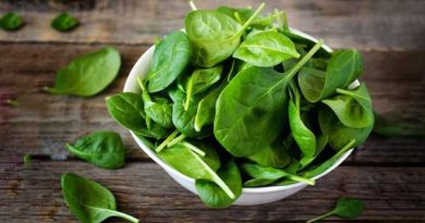 Spinach: Now a Bomb-Detecting Superfood