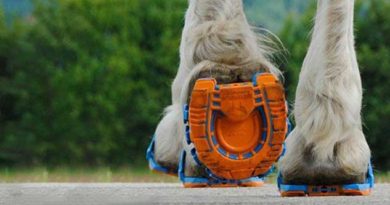 Company Creates World’s First Running Shoes for Horses