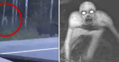 Creepy Footage Shows 'Gollum-Like Monster' Stalking Moose