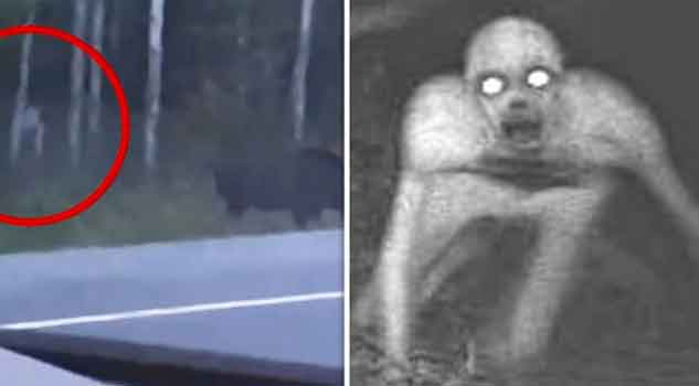 Creepy Footage Shows 'Gollum-Like Monster' Stalking Moose