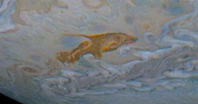 Dolphin-Shaped Cloud Swims Across Jupiter