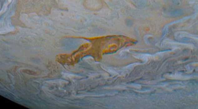 Dolphin-Shaped Cloud Swims Across Jupiter